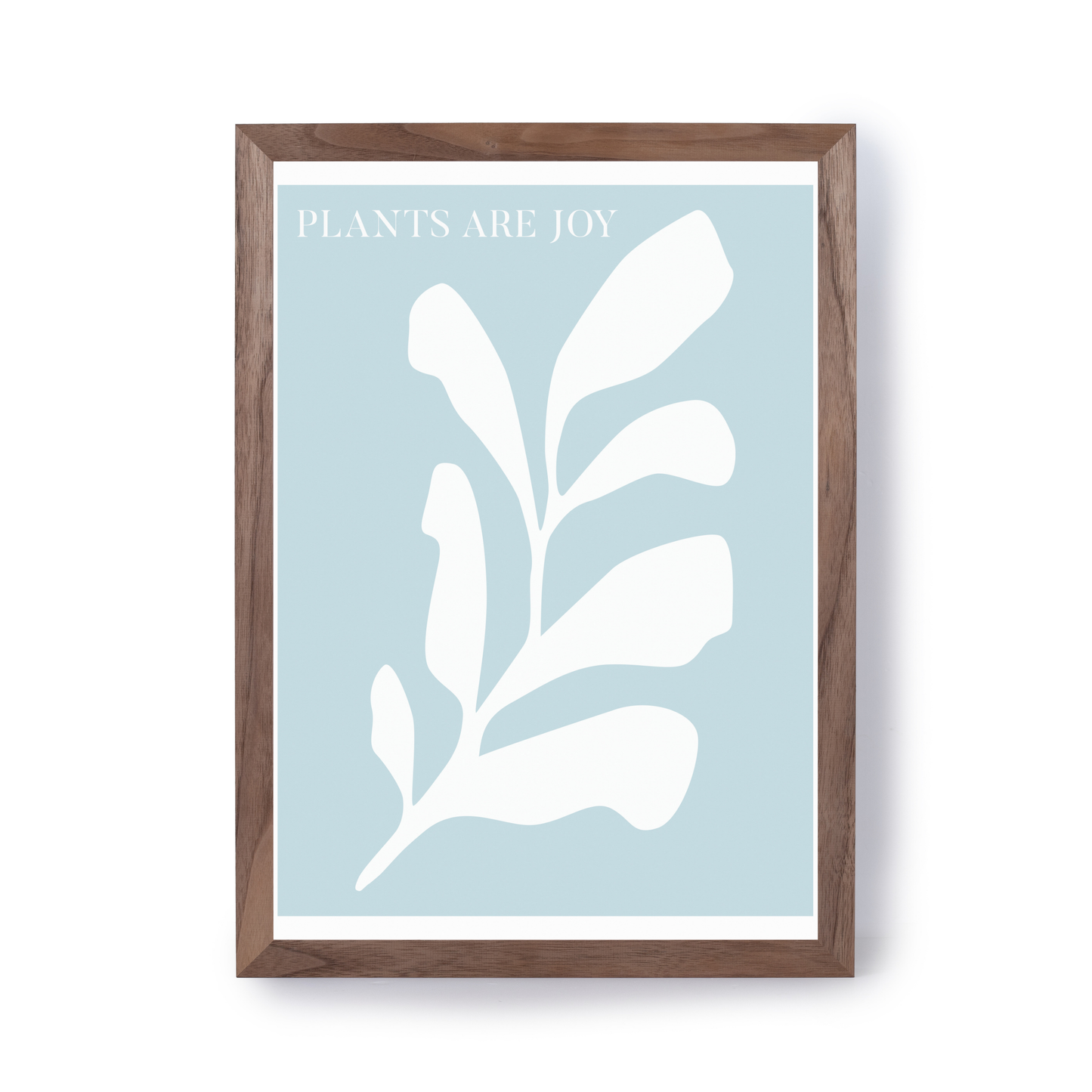 Plants Are Joy by Ani Vidotto