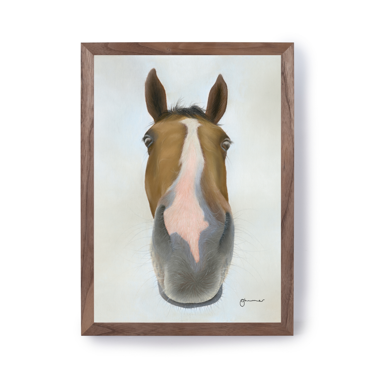 Faugheen by Georgie Turner