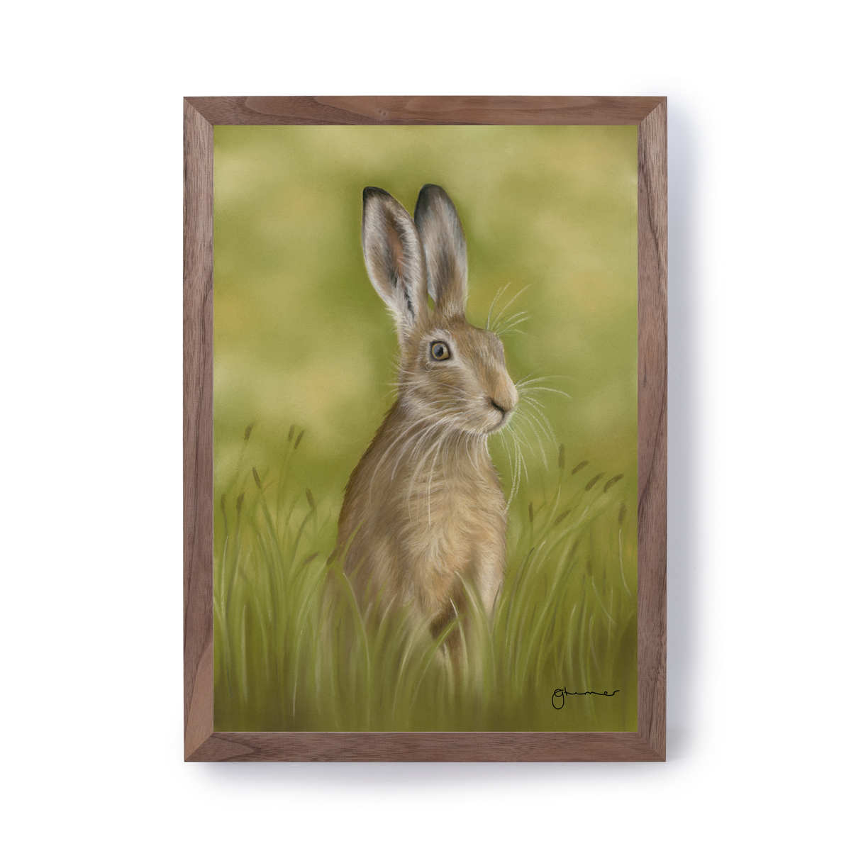 Hare in the Grass by Georgie Turner