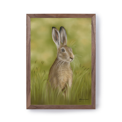 Hare in the Grass by Georgie Turner