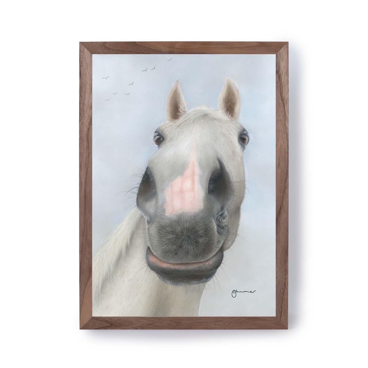Desert Orchid by Georgie Turner
