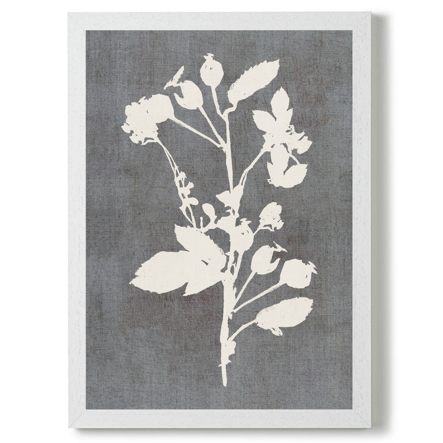 Botanical Illustration 3 by Cartissi