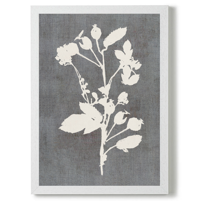 Botanical Illustration 3 by Cartissi