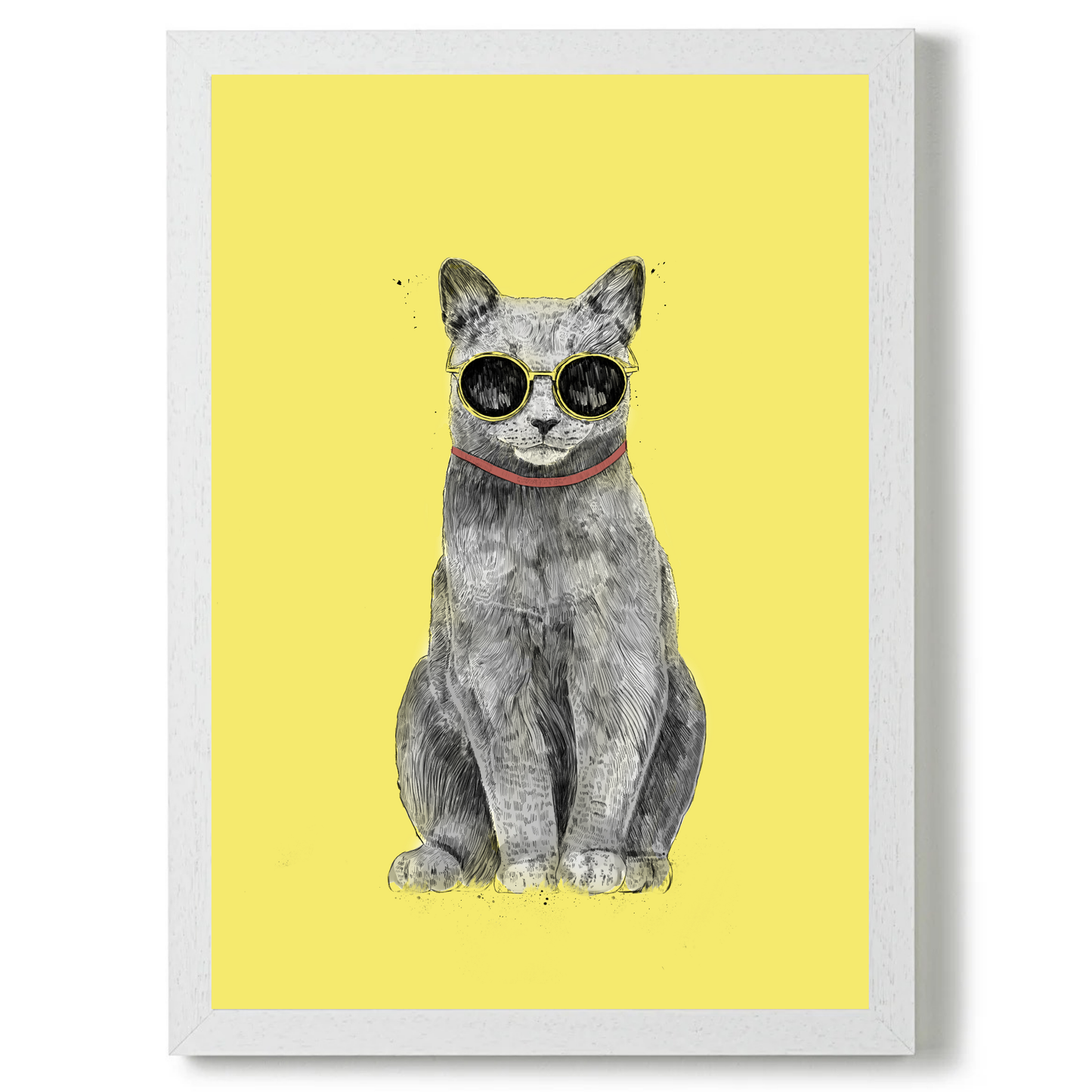 Summer Cat by Balazs Solti