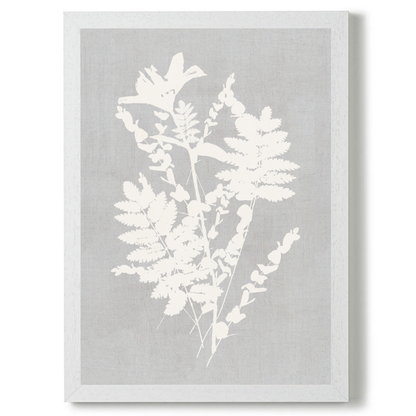 Botanical Illustration 2 by Cartissi