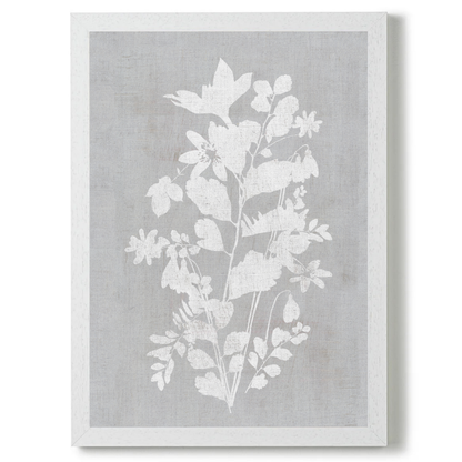 Botanical Illustration 5 by Cartissi