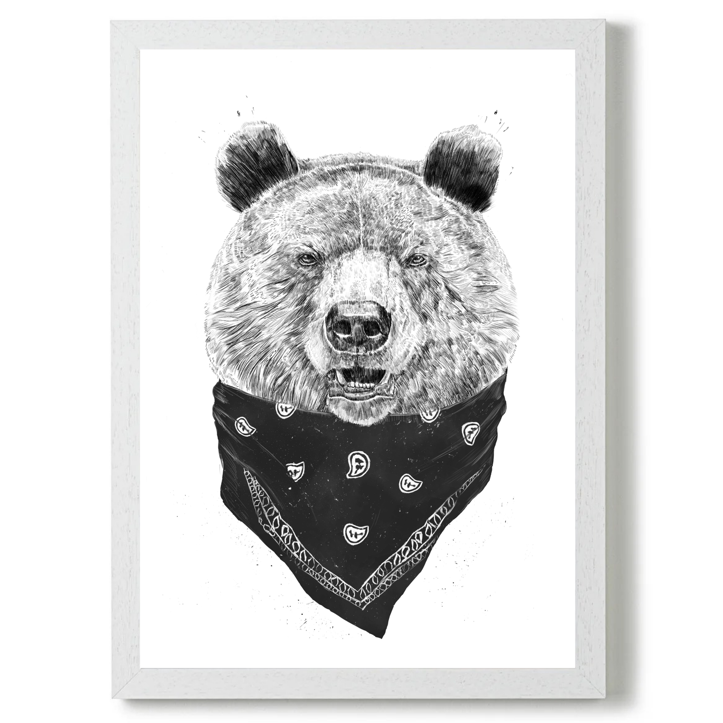 Wild Bear by Balazs Solti