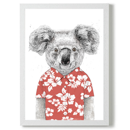 Summer Koala by Balazs Solti