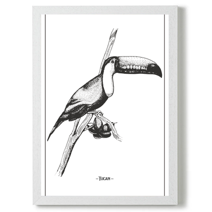 Tucan 3 by Jason Stanley