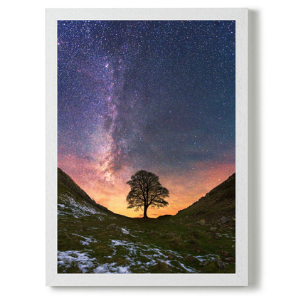 Sycamore Gap with Milky Way by Steven Robinson