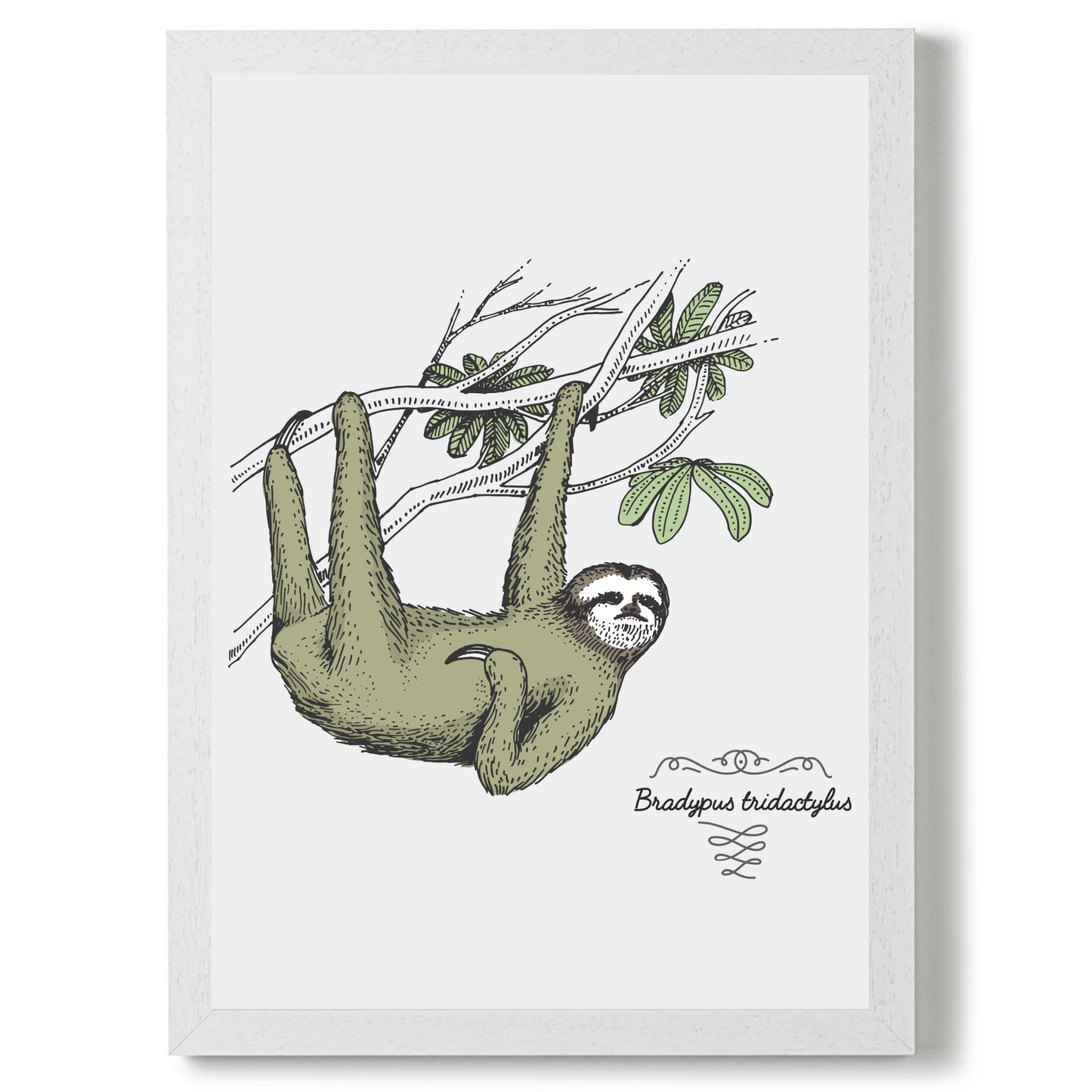 Sloth by Jason Stanley