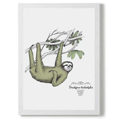Sloth by Jason Stanley