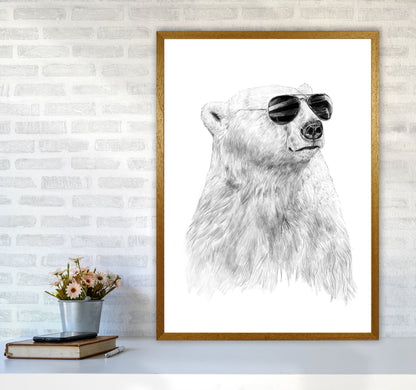 Don't Let The Sun Go Down Bear Animal Art Print by Balaz Solti A1 Print Only
