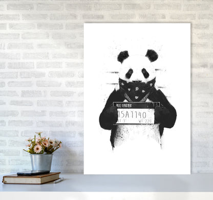Bad Panda Animal Art Print by Balaz Solti A1 Black Frame
