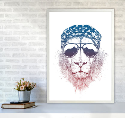 Wild Lion Colour Animal Art Print by Balaz Solti A1 Oak Frame