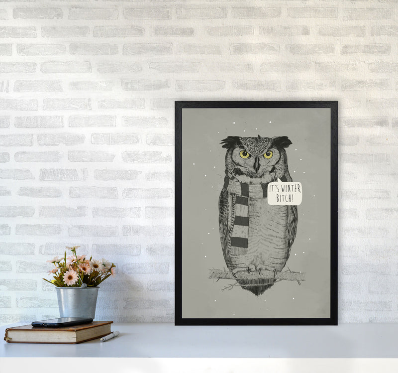 It's Winter B*tch Animal Art Print by Balaz Solti A2 White Frame