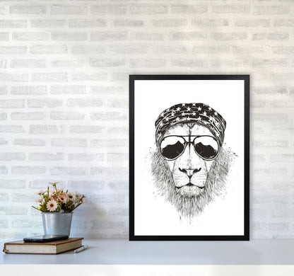 Wild Lion B&W Animal Art Print by Balaz Solti A2 White Frame