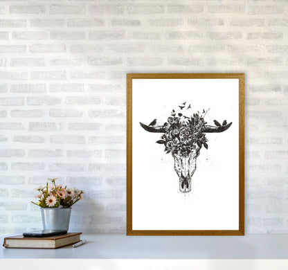 Dead Summer B&W Animal Art Print by Balaz Solti A2 Print Only
