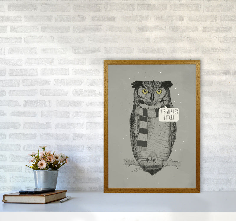 It's Winter B*tch Animal Art Print by Balaz Solti A2 Print Only