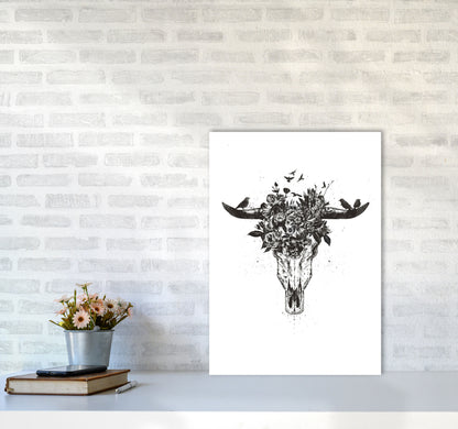 Dead Summer B&W Animal Art Print by Balaz Solti A2 Black Frame