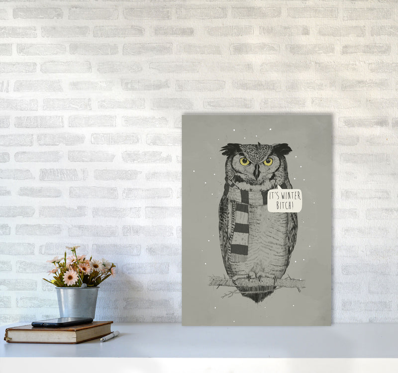 It's Winter B*tch Animal Art Print by Balaz Solti A2 Black Frame