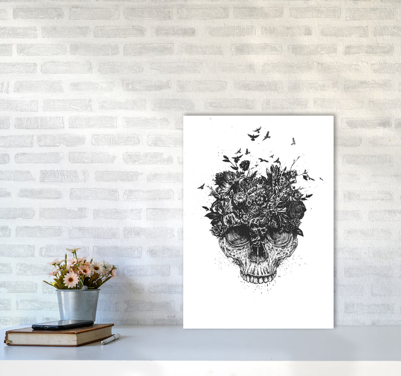 My Head Is A Jungle Skull B&W Art Print by Balaz Solti A2 Black Frame