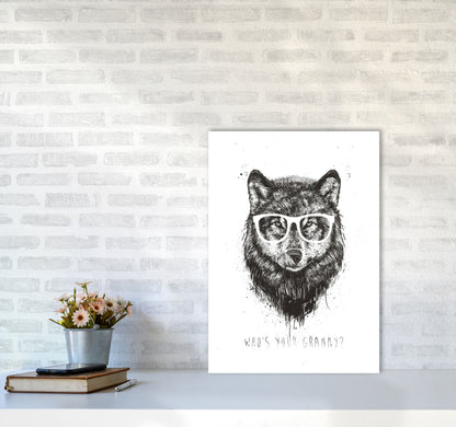 Who's Your Granny? Wolf B&W Animal Art Print by Balaz Solti A2 Black Frame