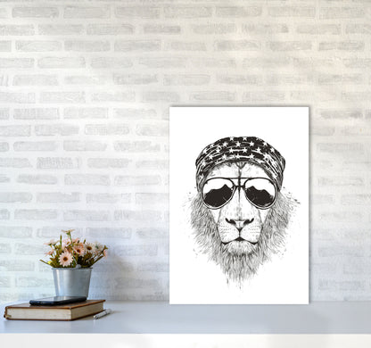 Wild Lion B&W Animal Art Print by Balaz Solti A2 Black Frame