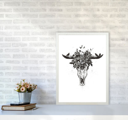Dead Summer B&W Animal Art Print by Balaz Solti A2 Oak Frame