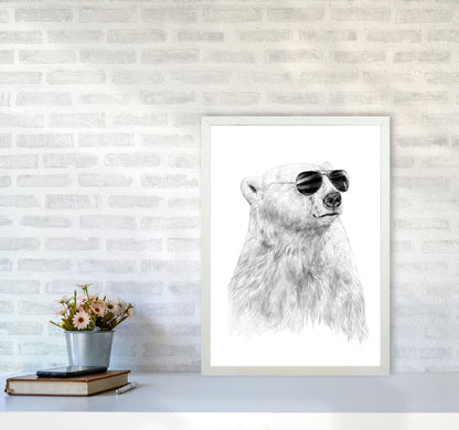 Don't Let The Sun Go Down Bear Animal Art Print by Balaz Solti A2 Oak Frame