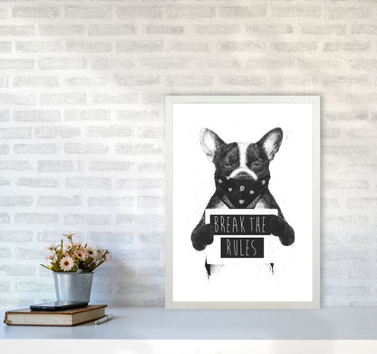 Rebel Bulldog Animal Art Print by Balaz Solti A2 Oak Frame