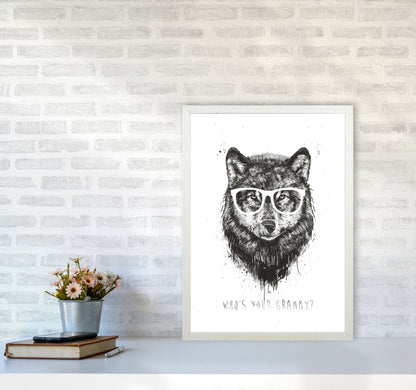 Who's Your Granny? Wolf B&W Animal Art Print by Balaz Solti A2 Oak Frame