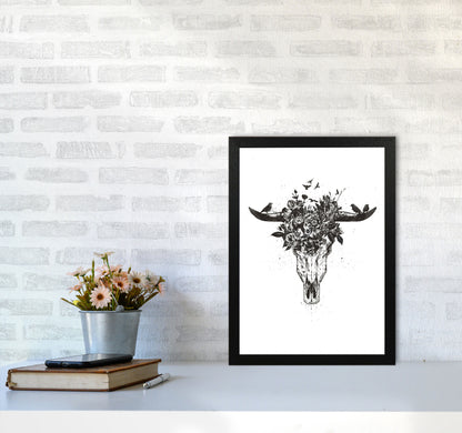 Dead Summer B&W Animal Art Print by Balaz Solti A3 White Frame