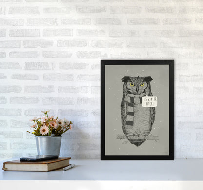 It's Winter B*tch Animal Art Print by Balaz Solti A3 White Frame