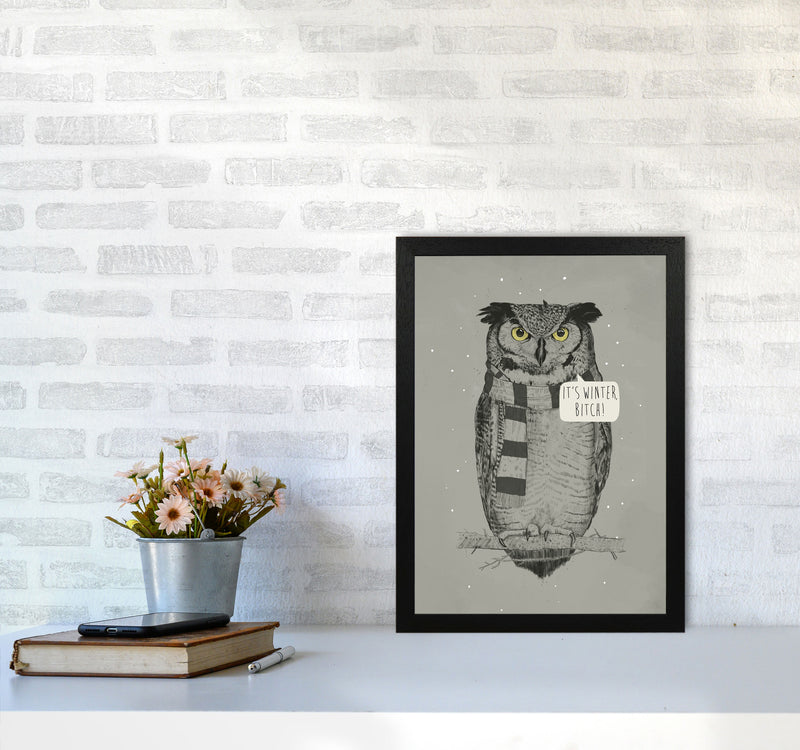 It's Winter B*tch Animal Art Print by Balaz Solti A3 White Frame