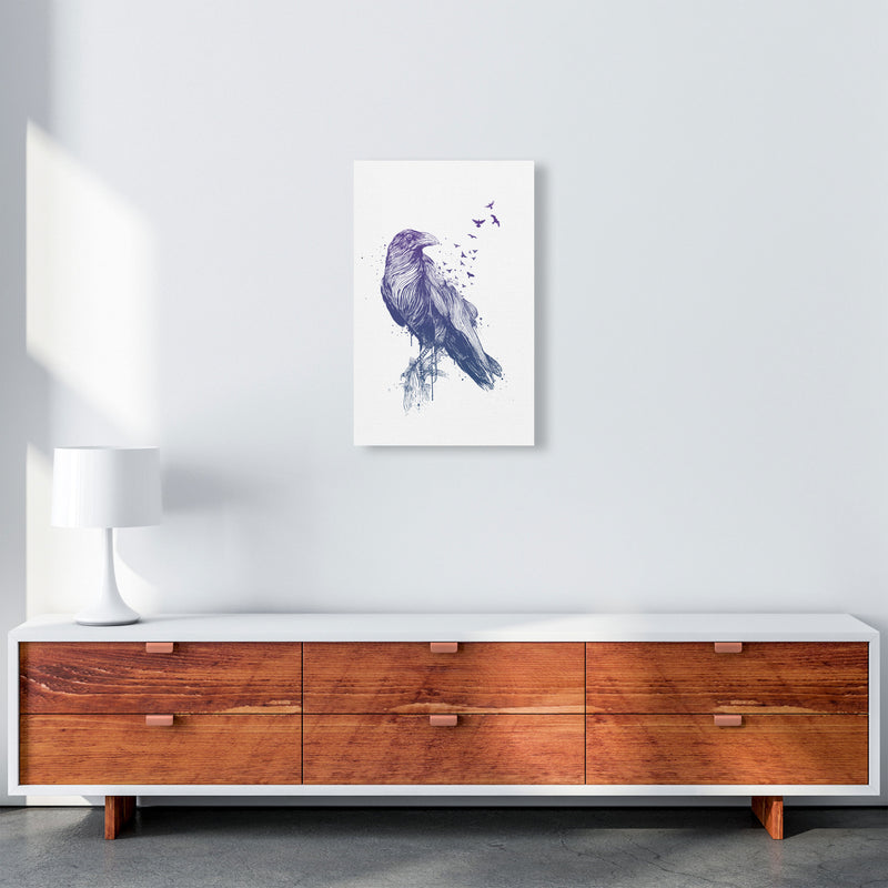 Born To Be Free Raven Animal Art Print by Balaz Solti A3 Canvas