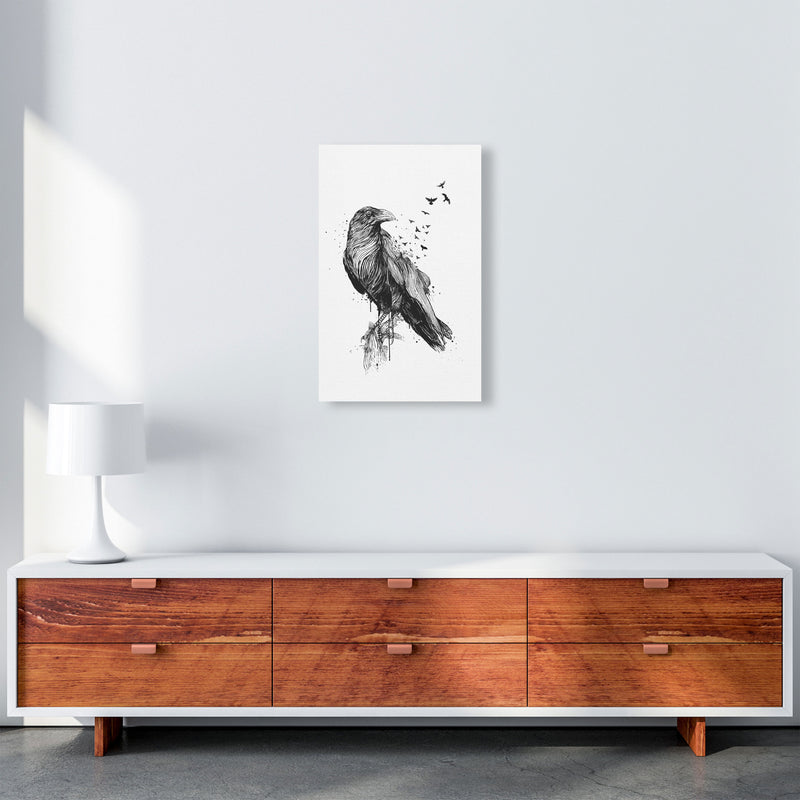 Born To Be Free Raven B&W Animal Art Print by Balaz Solti A3 Canvas