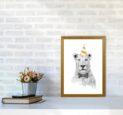 Get The Party Started Lion Colour Animal Art Print by Balaz Solti A3 Print Only