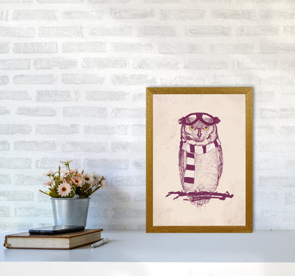 The Aviator Owl Animal Art Print by Balaz Solti A3 Print Only