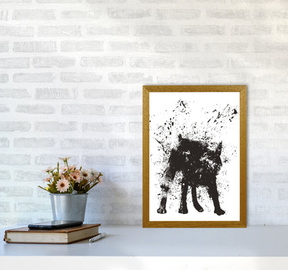 Wet Dog Animal Art Print by Balaz Solti A3 Print Only