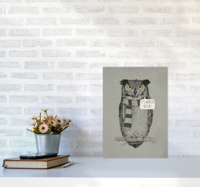 It's Winter B*tch Animal Art Print by Balaz Solti A3 Black Frame