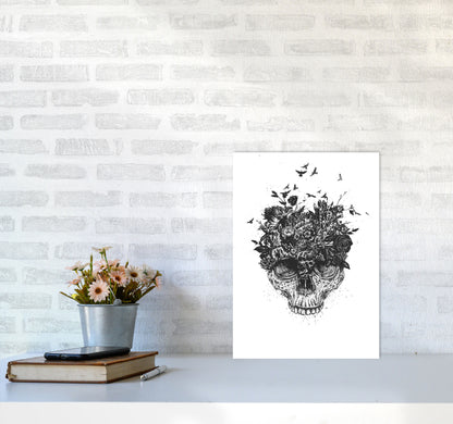 My Head Is A Jungle Skull B&W Art Print by Balaz Solti A3 Black Frame