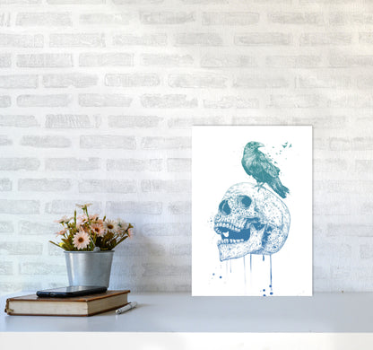 Skull & Raven Colour Animal Art Print by Balaz Solti A3 Black Frame