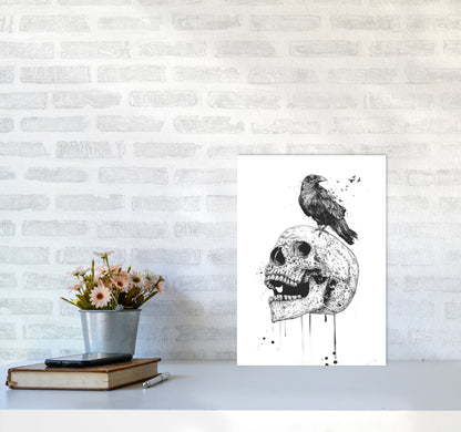 Skull & Raven B&W Animal Art Print by Balaz Solti A3 Black Frame