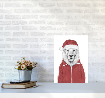 Santa Lion Animal Art Print by Balaz Solti A3 Black Frame