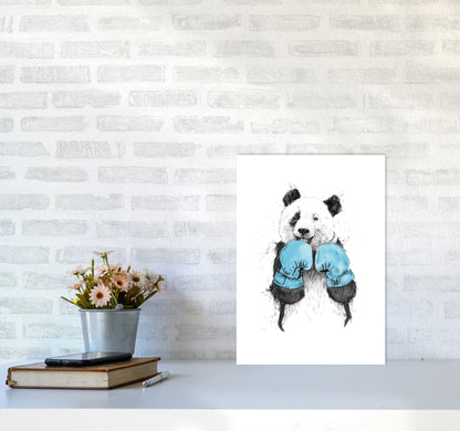 The Winner Boxing Panda Animal Art Print by Balaz Solti A3 Black Frame