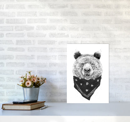 Wild Bear Animal Art Print by Balaz Solti A3 Black Frame