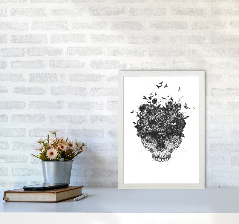 My Head Is A Jungle Skull B&W Art Print by Balaz Solti A3 Oak Frame