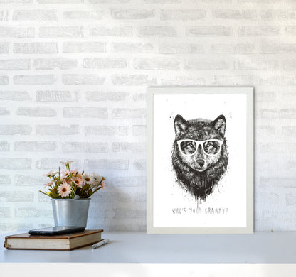 Who's Your Granny? Wolf B&W Animal Art Print by Balaz Solti A3 Oak Frame
