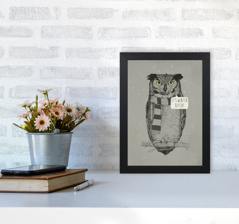 It's Winter B*tch Animal Art Print by Balaz Solti A4 White Frame